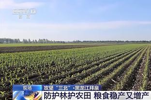 波波：我们还是处于发展模式 一些球员要学习基础的东西